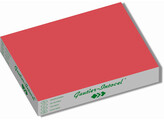 Placemats rood 4x500 stuks